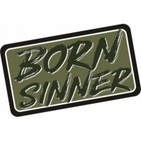 Патч Federkamm «Born sinner» купить в Витебске